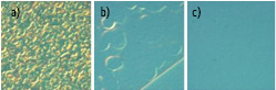 Surface morphologies of Wafer A (a, b) and Wafer B (c)